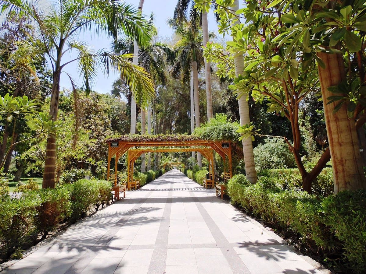 Experience the Nile Veil of Life