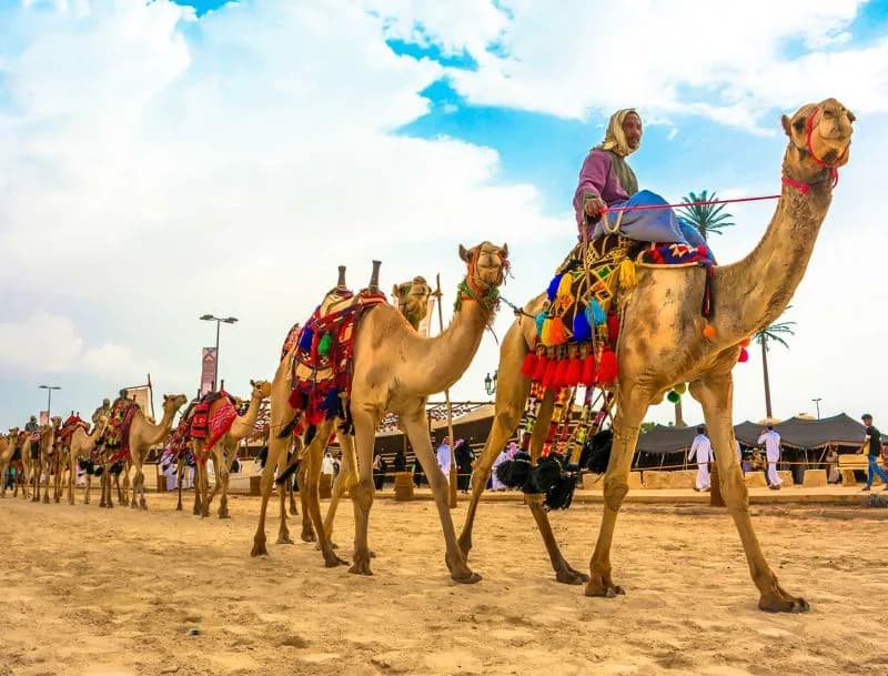 Off the Beaten Track to the Treasures of Egypt